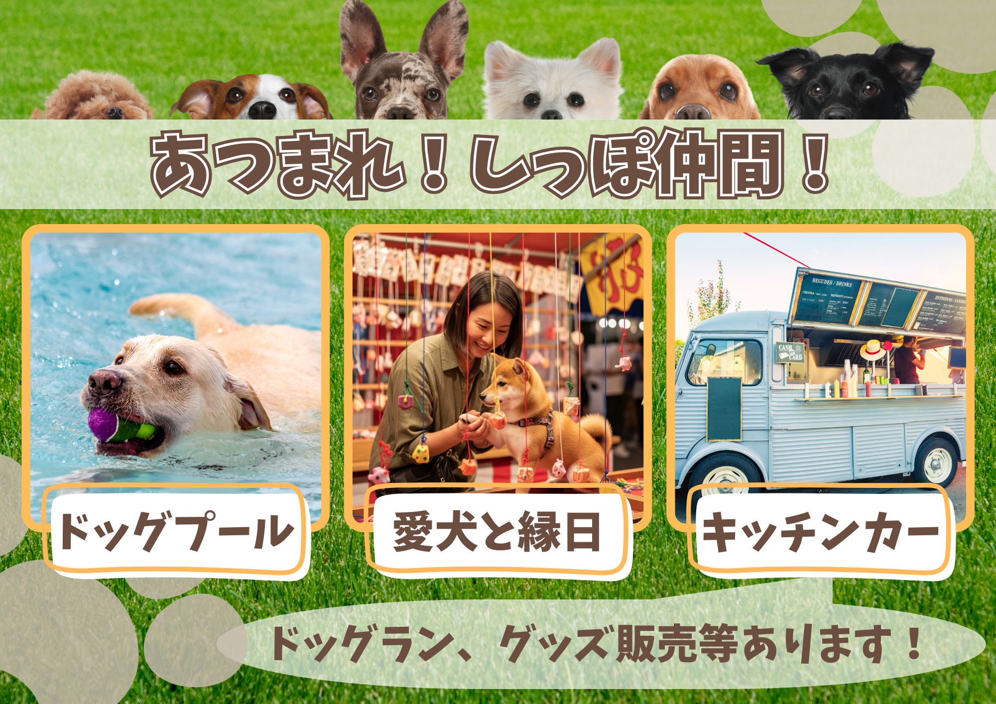 /data/ec/927/御船町ふれあい広場にてドッグフェス開催!!.jpg
